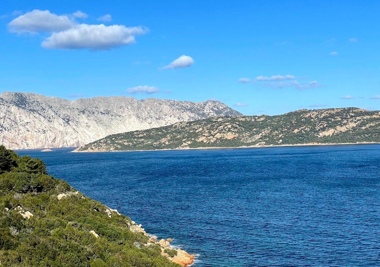 San Teodoro Punta Est Delizioso Monolocale Vista Mare Διαμέρισμα Εξωτερικό φωτογραφία