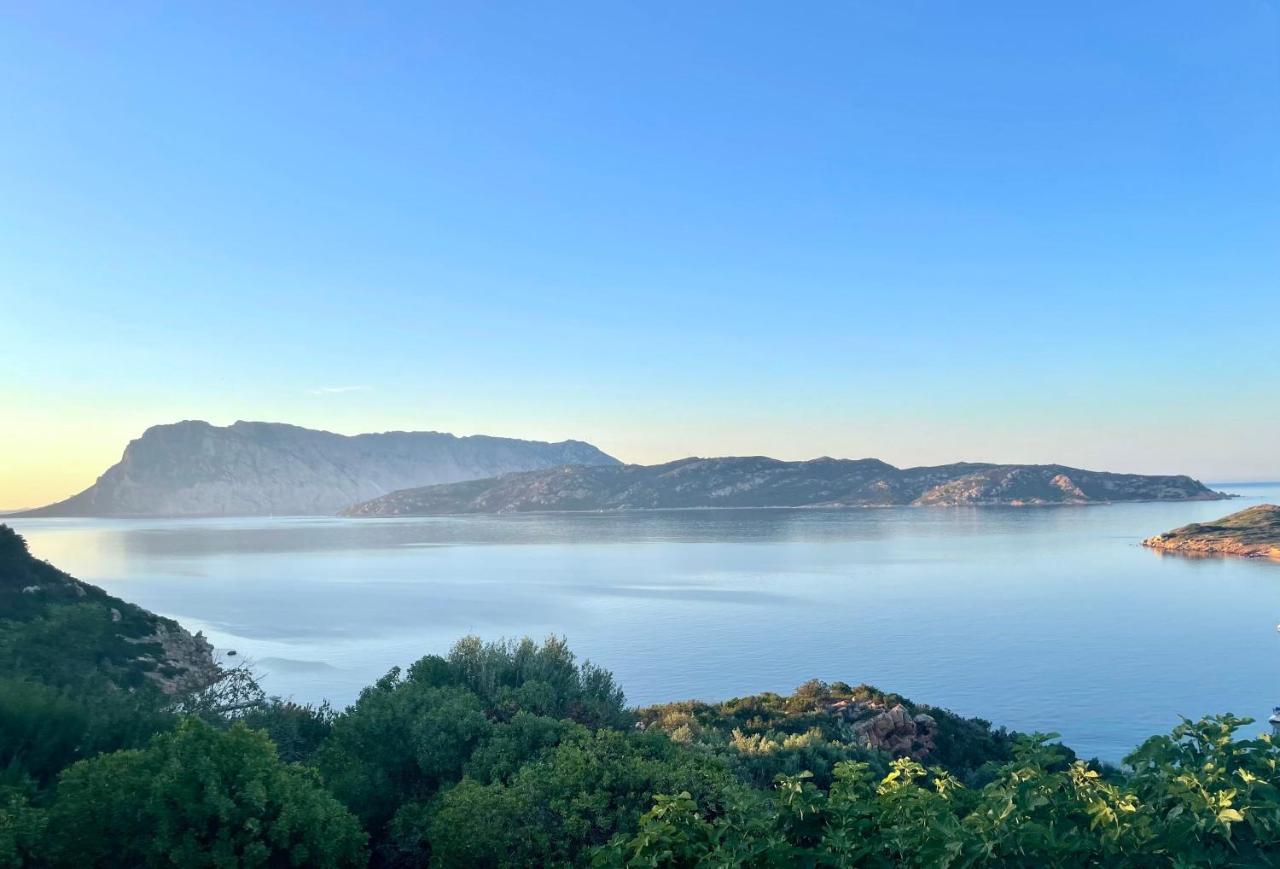 San Teodoro Punta Est Delizioso Monolocale Vista Mare Διαμέρισμα Εξωτερικό φωτογραφία