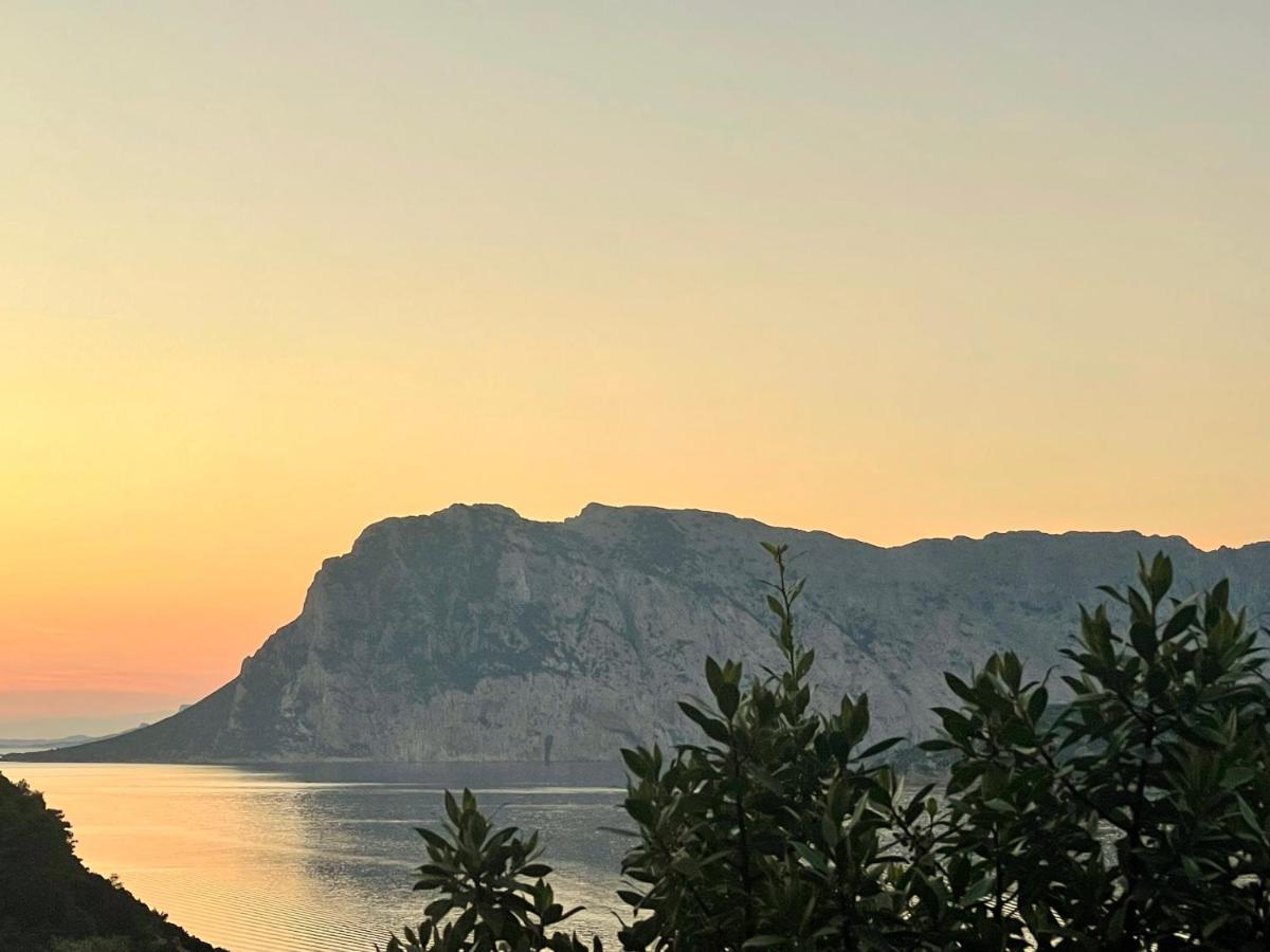 San Teodoro Punta Est Delizioso Monolocale Vista Mare Διαμέρισμα Εξωτερικό φωτογραφία