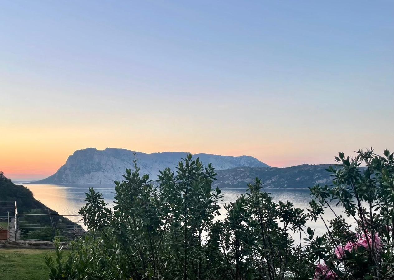 San Teodoro Punta Est Delizioso Monolocale Vista Mare Διαμέρισμα Εξωτερικό φωτογραφία