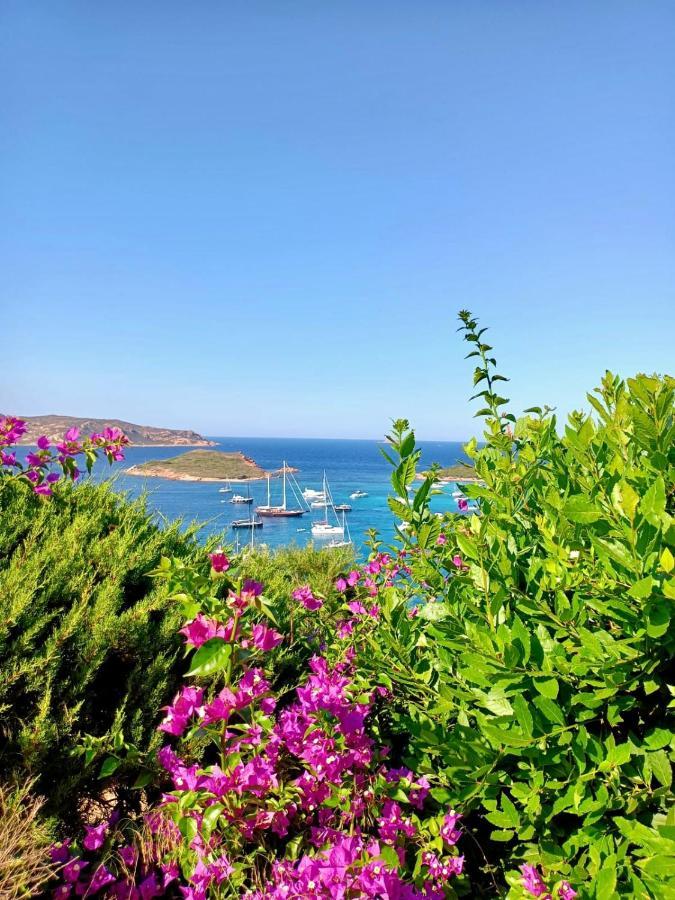 San Teodoro Punta Est Delizioso Monolocale Vista Mare Διαμέρισμα Εξωτερικό φωτογραφία