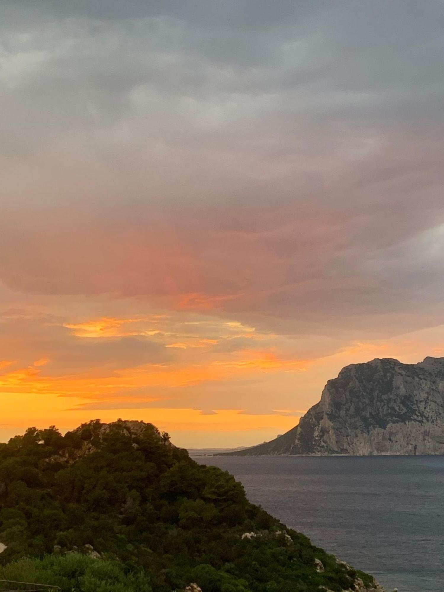 San Teodoro Punta Est Delizioso Monolocale Vista Mare Διαμέρισμα Εξωτερικό φωτογραφία